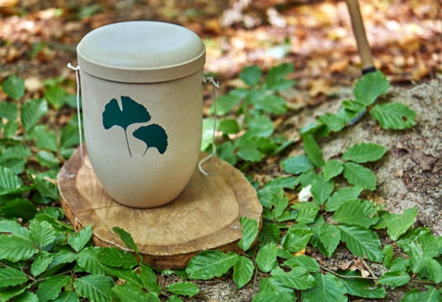 urna para cenizas arbol